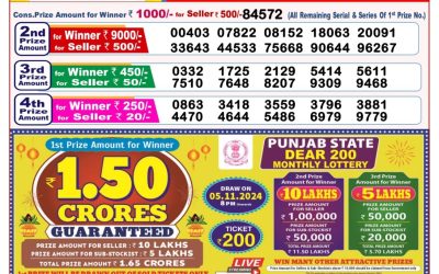 Dear stork saturday weekly lottery 19.10.24 8pm result