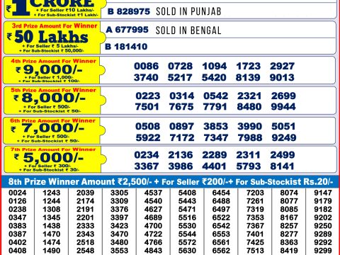 Punjab State Dear Diwali Bumper 2024 Result