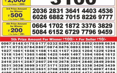 Punjab State Dear saturday Weekly Lottery 2.11.24 6PM Result