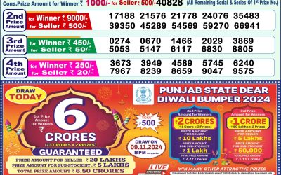 Dear narmada Saturday weekly lottery 9.11.24 1pm result