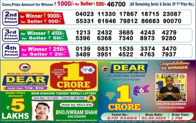 Dear dasher Friday weekly lottery 22.11.24 6pm result