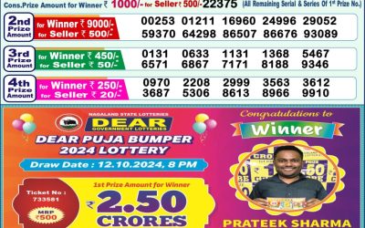 Dear narmada saturday weekly lottery 23.11.24 1pm result