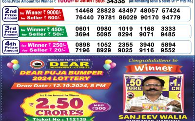 Dear donner saturday weekly lottery 23.11.24 6pm result