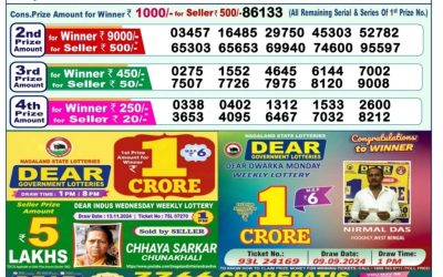 Dear yamuna sunday weekly lottery 24.11.24 1pm result