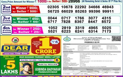 Dear dwarka monday weekly lottery 25.11.24 1pm result