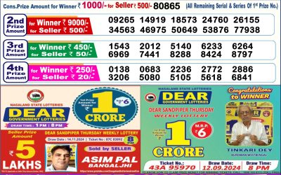 Dear comet tuesday weekly lottery 26.11.24 6pm result