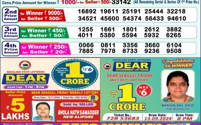 Dear Indus Wednesday Weekly Lottery 27.11.24 1pm Result