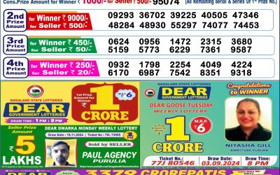 Dear Dasher Friday weekly lottery 29.11.24 6pm result