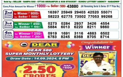 Dear donner saturday weekly lottery 2.11.24 6pm result