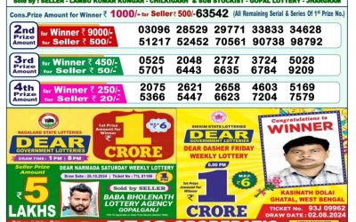 Dear yamuna sunday weekly lottery 3.11.24 1pm result