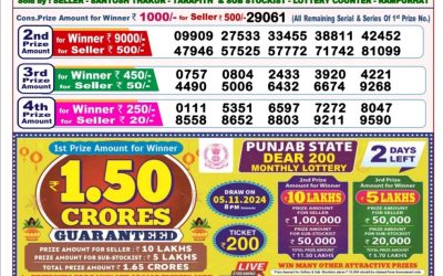 Dear toucan sunday weekly lottery 3.11.24 8pm result