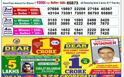 Dear comet Tuesday weekly lottery 5.11.24 6pm result