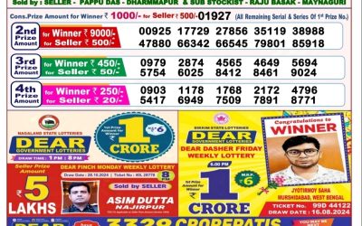 Dear pelican wednesday weekly lottery 6.11.24 8pm result