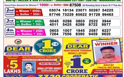 Dear seagull Friday weekly lottery 8.11.24 8pm result