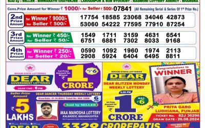 Dear stork Saturday weekly lottery 9.11.24 8pm result