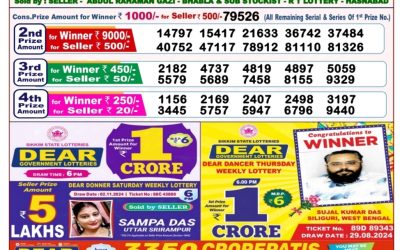 Dear goose Tuesday weekly lottery 12.11.24 8pm result