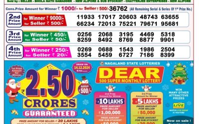 Dear seagull Friday weekly lottery 15.11.24 8pm result