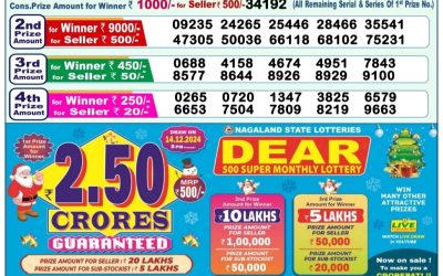 Dear yamuna sunday weekly lottery 17.11.24 1pm result