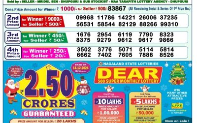 Dear godavari tuesday weekly lottery 19.11.24 1pm result