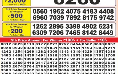 Punjab State Dear10 tuesday Weekly Lottery 19.11.24 6PM Result