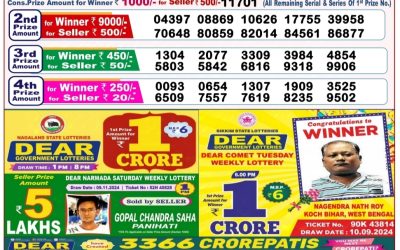 Dear goose tuesday weekly lottery 19.11.24 8pm result