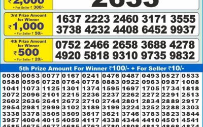 Dear 10 Orange Wednesday Weekly Lottery 20.11.24 1.30pm result