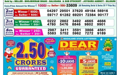 Dear godavari Tuesday weekly lottery 12.11.24 1pm result