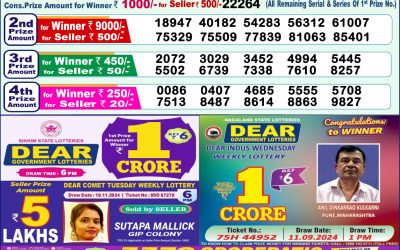 Dear yamuna sunday weekly lottery 1.12.24 1pm result