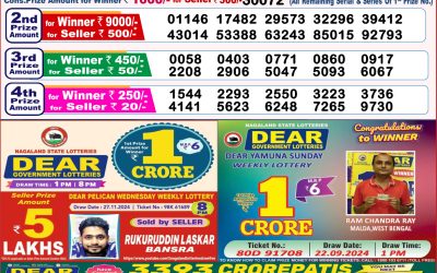 Dear stork saturday weekly lottery 7.12.24 8pm result