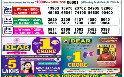 Dear comet tuesday weekly lottery 3.12.24 6pm result