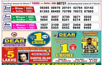 Dear goose tuesday weekly lottery 3.12.24 8pm result