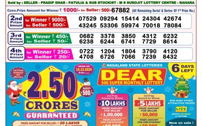 Dear toucan sunday weekly lottery 8.12.24 8pm result