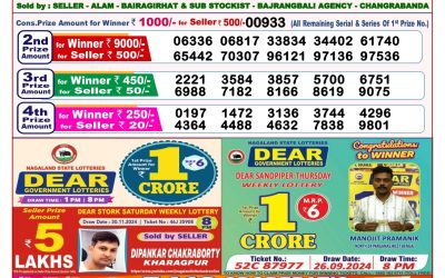 Dear goose tuesday weekly lottery 10.12.24 8pm result