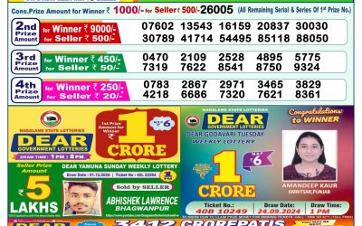 Dear Indus Wednesday Weekly Lottery 11.12.24 1pm Result