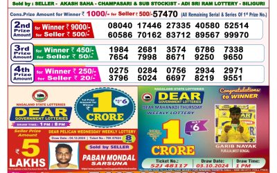 Dear stork saturday weekly lottery 14.12.24 8pm result