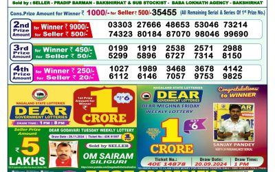 Dear meghna Friday weekly lottery 6.12.24 1pm result