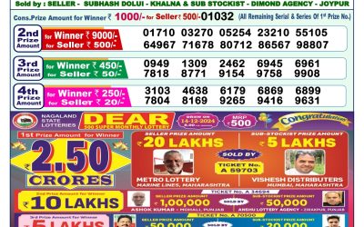 Dear yamuna sunday weekly lottery 15.12.24 1pm result