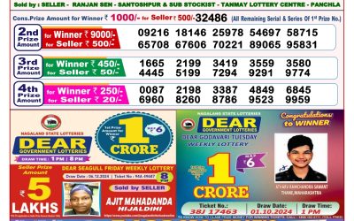 Dear goose tuesday weekly lottery 17.12.24 8pm result