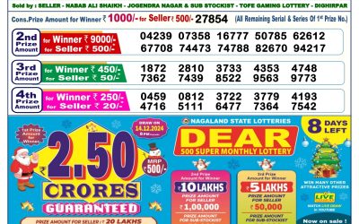 Dear Dasher Friday weekly lottery 6.12.24 6pm result