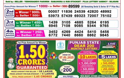 Dear sandpiper Thursday weekly lottery 19.12.24 8pm result