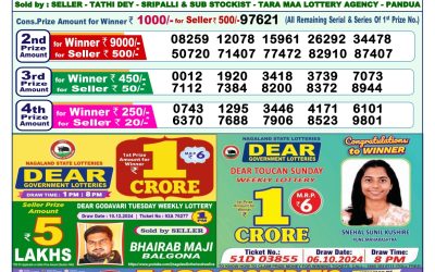 Dear narmada saturday weekly lottery 21.12.24 1pm result