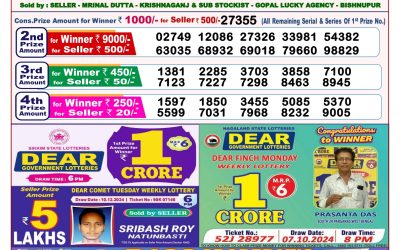 Dear stork saturday weekly lottery 21.12.24 8pm result