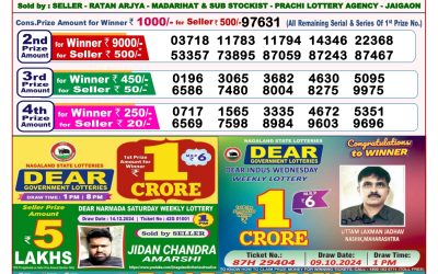 Dear goose tuesday weekly lottery 24.12.24 8pm result