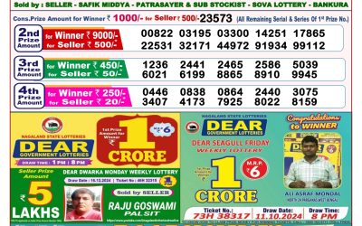 Dear seagull Friday weekly lottery 27.12.24 8pm result