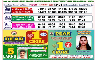 Dear stork saturday weekly lottery 28.12.24 8pm result