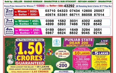 Dear toucan sunday weekly lottery 29.12.24 8pm result