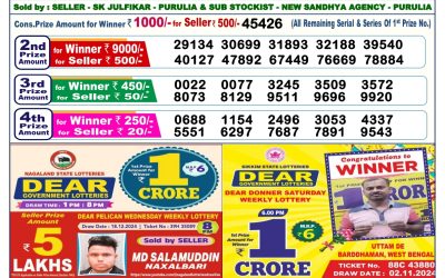 Dear comet tuesday weekly lottery 31.12.24 6pm result