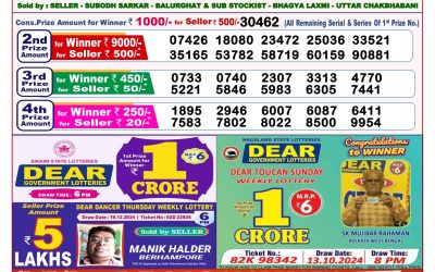 Dear goose tuesday weekly lottery 31.12.24 8pm result