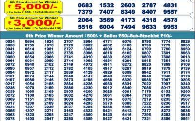 Punjab State Dear 200 Monthly Lottery Result 8pm 7.1.25