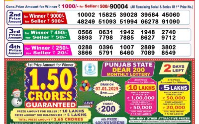 Dear toucan sunday weekly lottery 5.1.25 8pm result